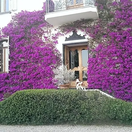 Bed & Breakfast San Luca Citr8031 4*