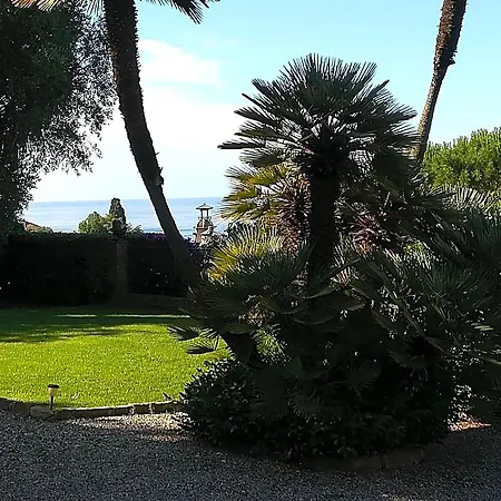 San Luca Citr8031
